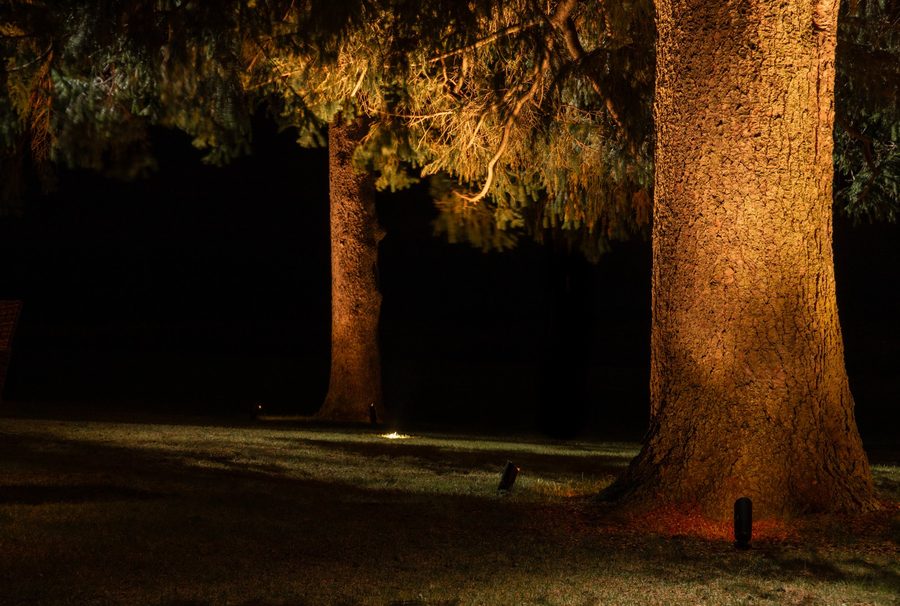 Hidden Woods — Everlit luxury outdoor illumination project